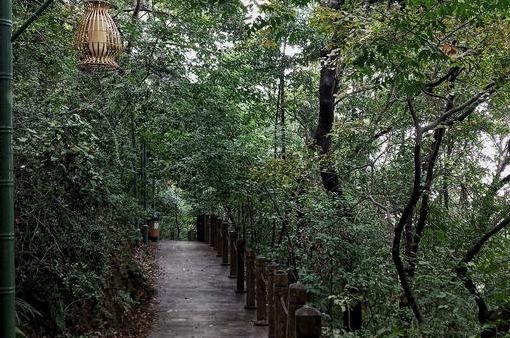 南京免费公园免费开放日一览表,南京免费公园景点推荐