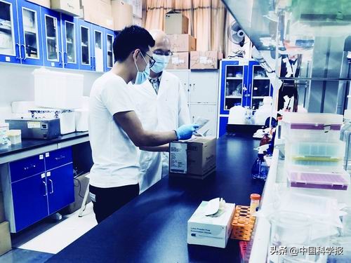 疫情科研最新进展,疫情无情科研暖心