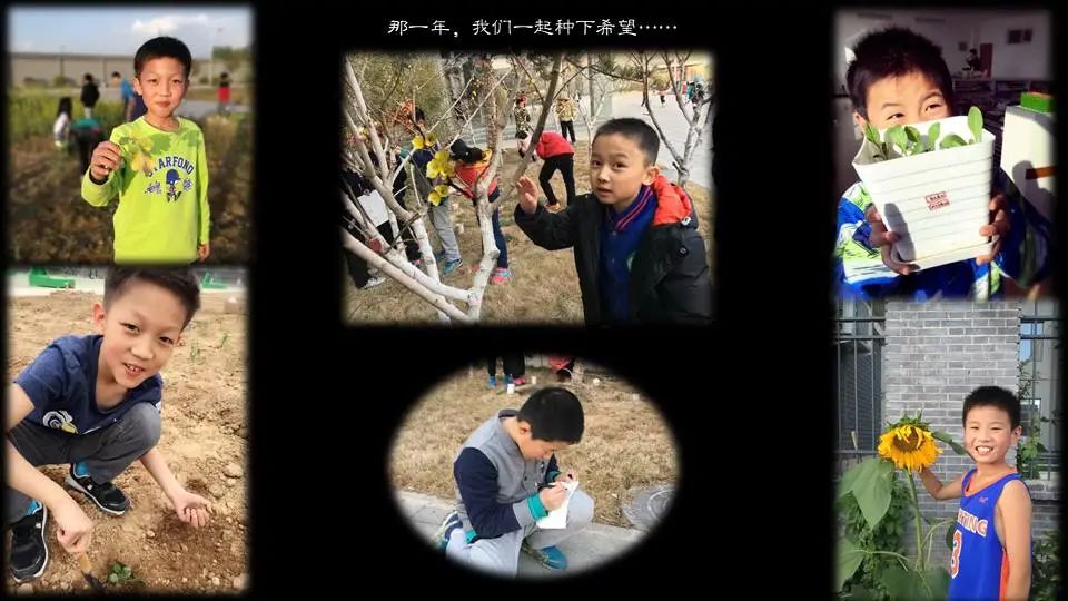 毕业庆典的仪式感,六年级毕业庆典视频