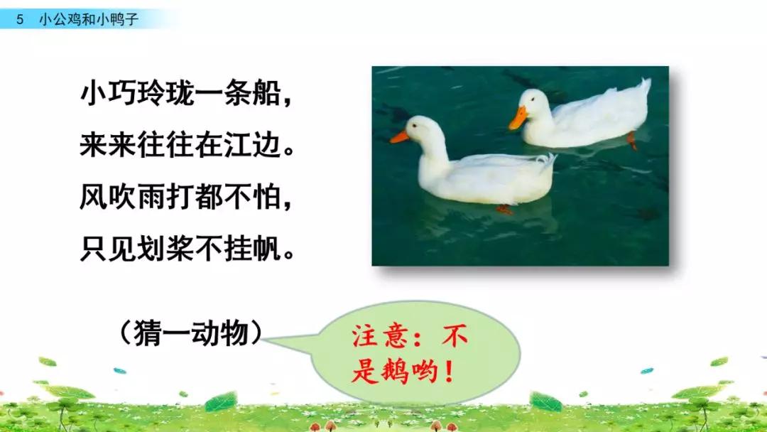 一年级下册第5课小公鸡和小鸭子,小公鸡和小鸭子一年级下册生字