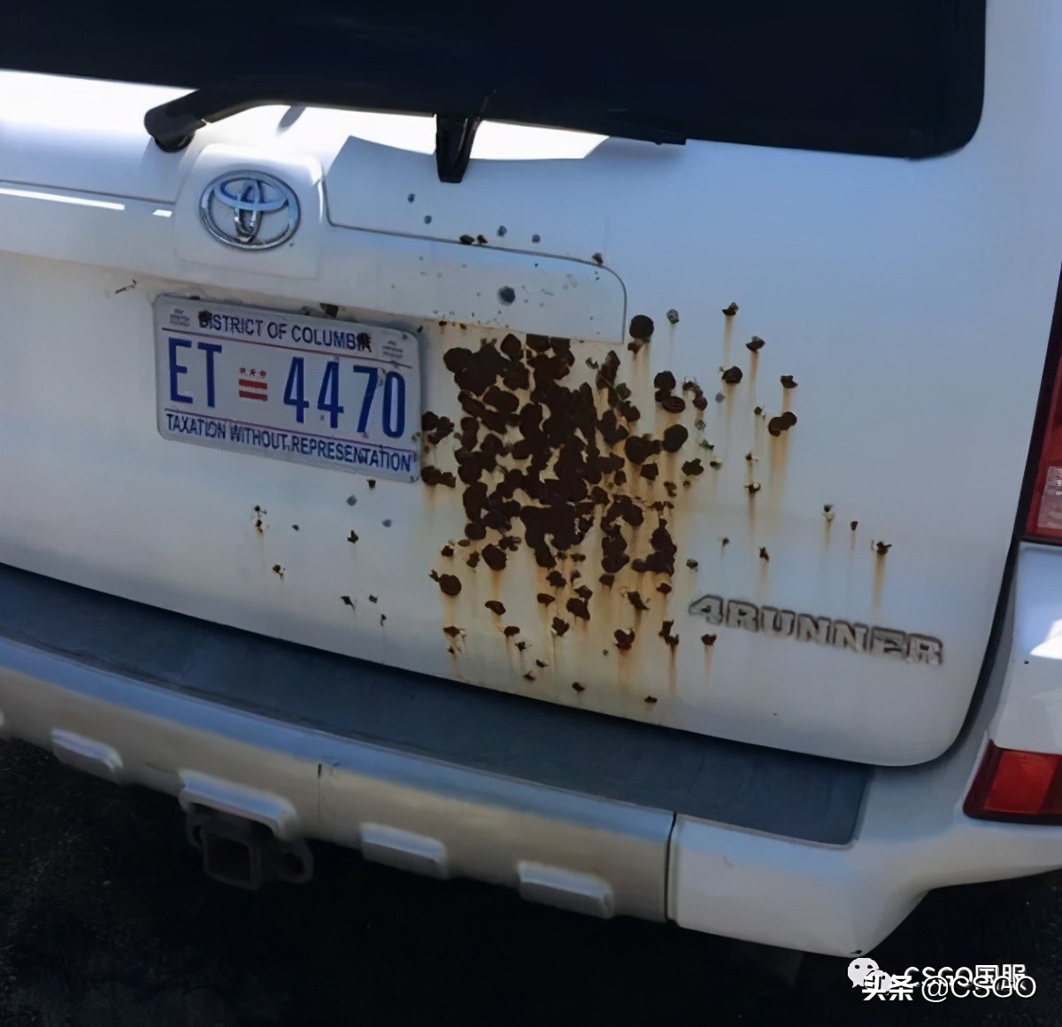 csgo和别的枪战游戏区别,csgo与现实