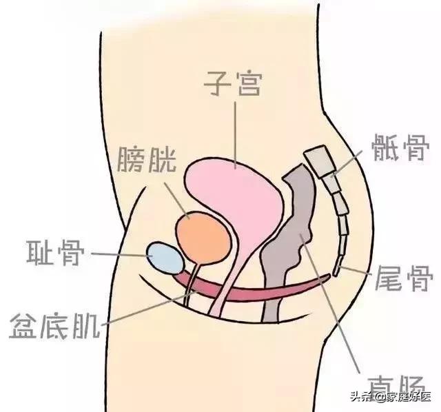 男人怕前列腺炎吗,男人怕前列腺炎女人怕什么