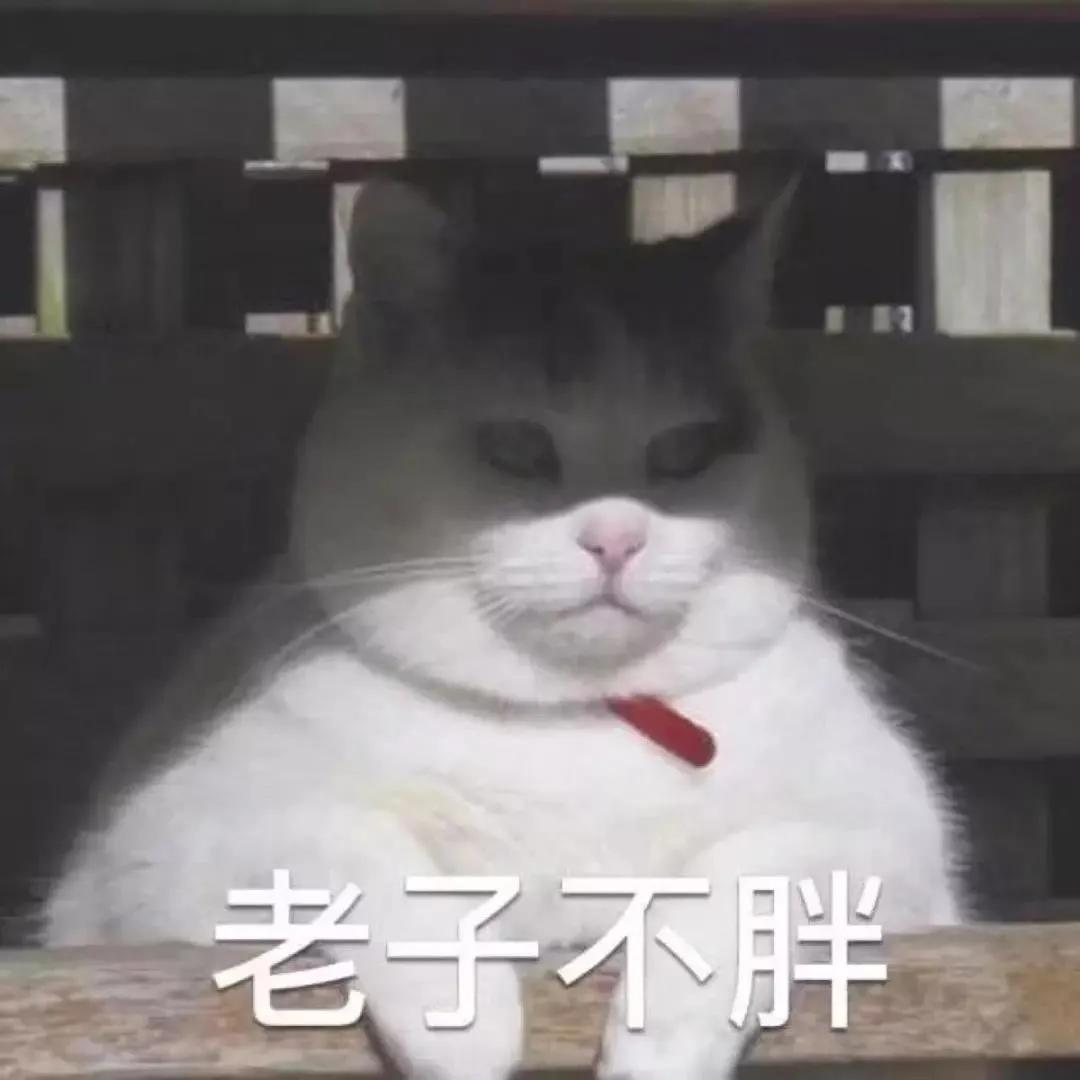 猫咪尿血需要怎么治疗,猫咪尿血有什么治疗方法