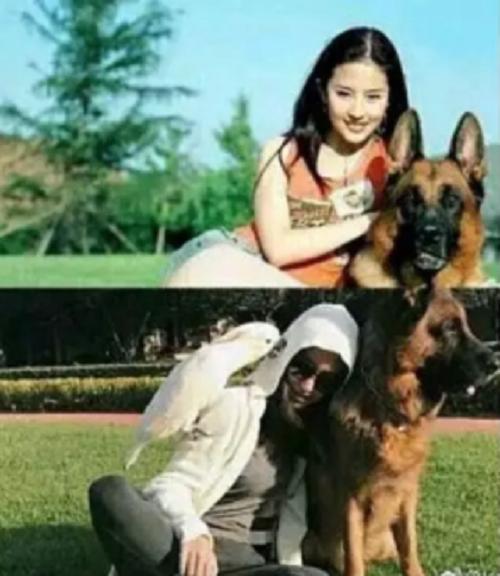 陈金飞现在和刘亦菲还有来往吗,陈金飞和刘亦菲现在关系