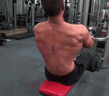 撸铁教程初级练胸,纯新手小白如何练胸