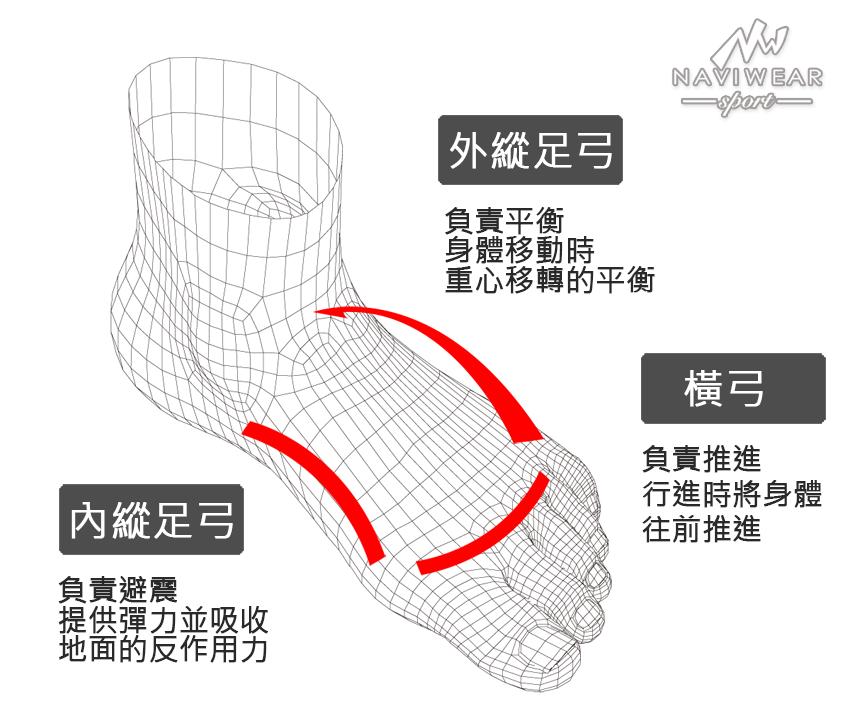 关于深蹲的常见迷思和误解,深蹲注意事项和细节
