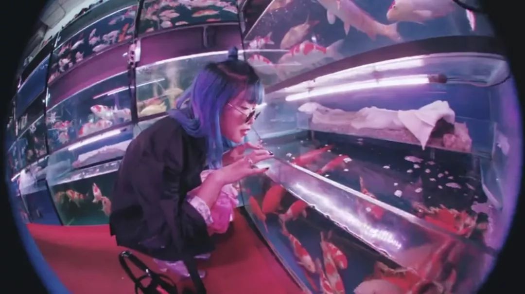 六月的雨和晴天,六月的晴天