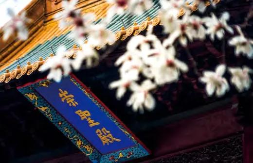 上海和南京哪个城市好,南京的省会是哪个城市