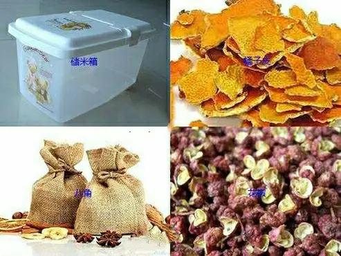 怎样预防面粉生虫霉变,面粉受潮出现很小的虫子怎么处理