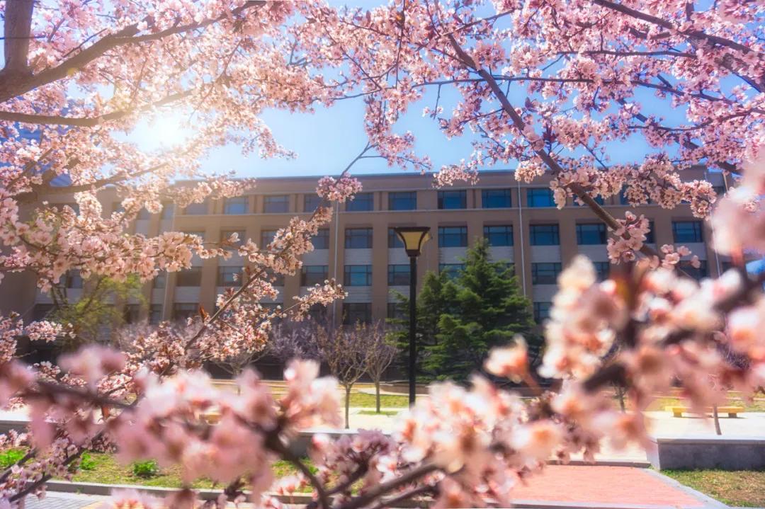 美过三亚！比厦门浪漫！中国这座海滨老城，去一次相当环游世界！