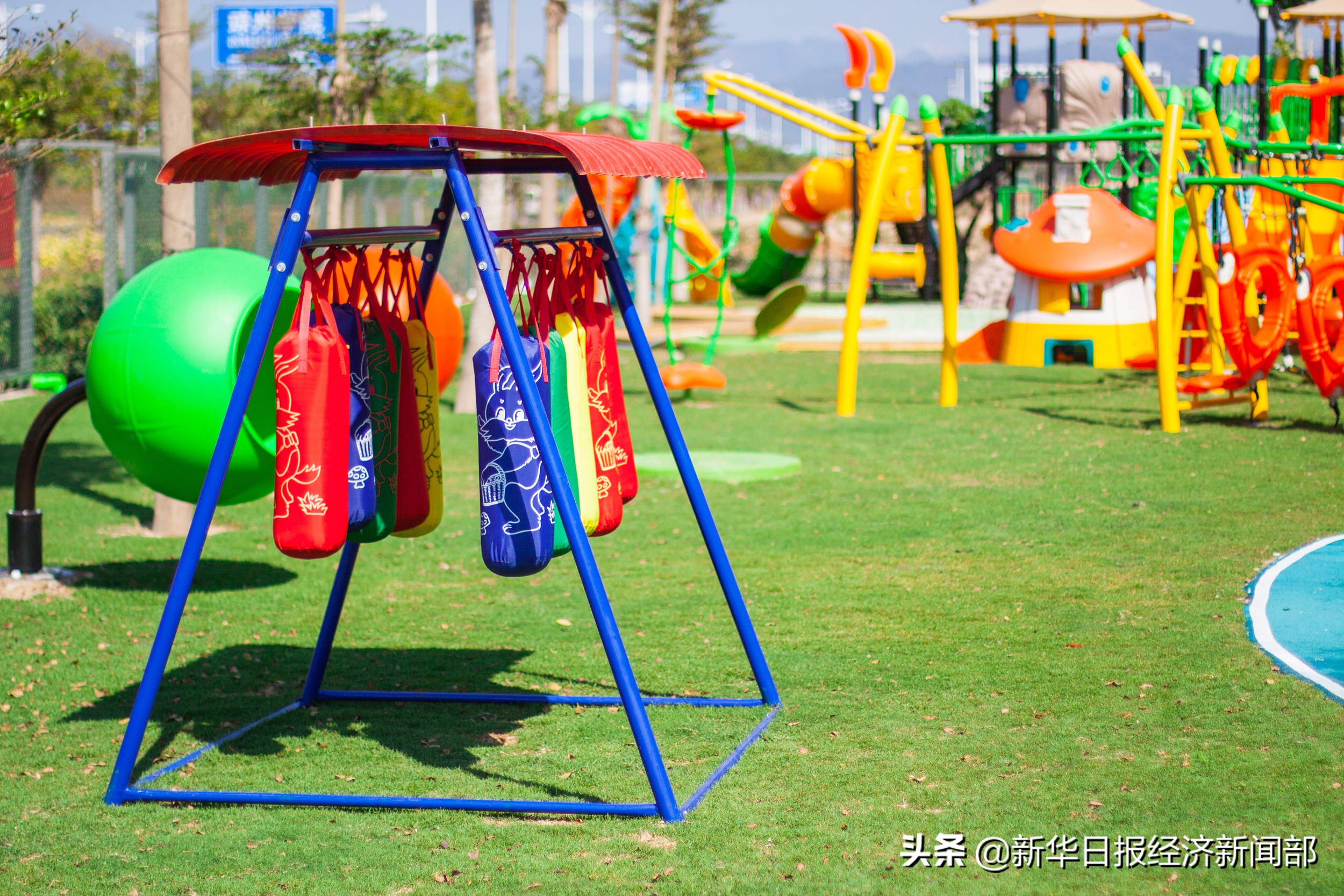 早教竞争的表现,早教市场风险分析