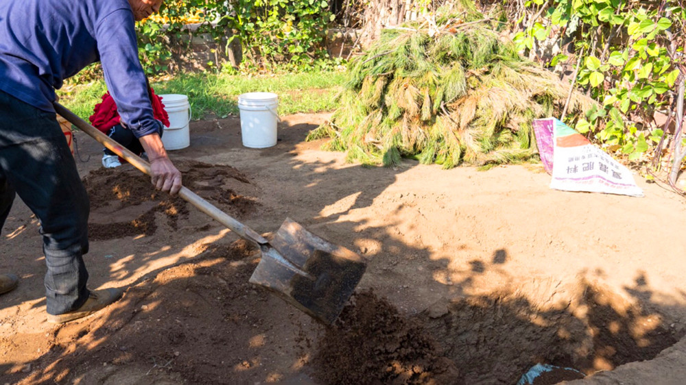 板栗吃不完第二天怎么加热,板栗放到冰箱保鲜能保多少天不坏