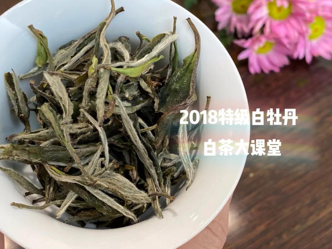 白茶是什么滋味,白茶讲的什么