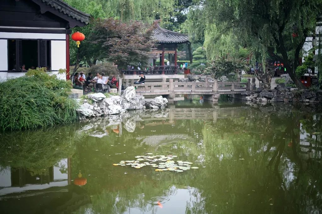 离上海仅1小时,这3座小众安静的江南名园,可惜大多数都没听过!