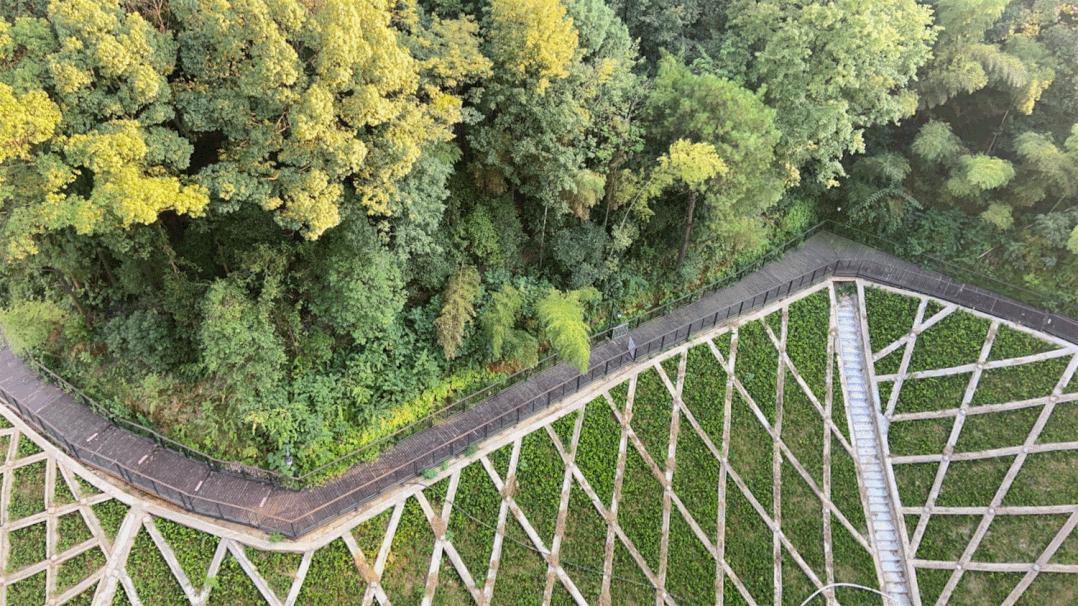 坚挺！高铁西限价首次破万！7字头现房大平层，踩在风口上
