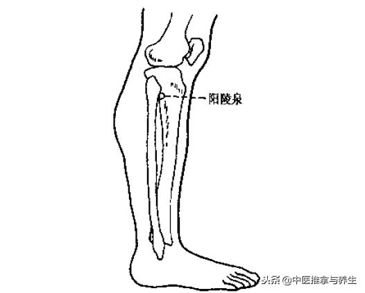 膝盖风湿关节痛推拿哪个穴位,膝盖疼痛风湿关节炎穴位治疗法