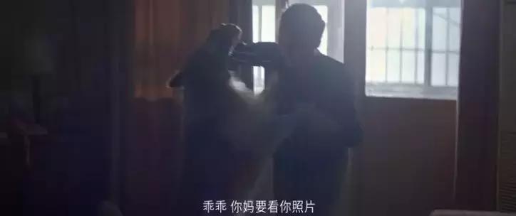 母亲把女儿的狗丢了,把女友的狗弄丢了