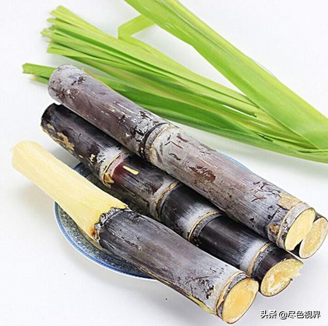 15斤甘蔗熬制红糖,20斤甘蔗古法红糖制作