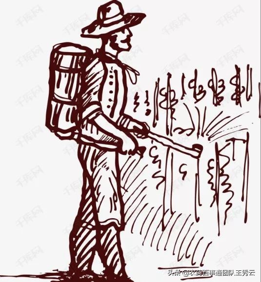 目前最好的除草剂成分有哪些,常用除草剂简介汇总