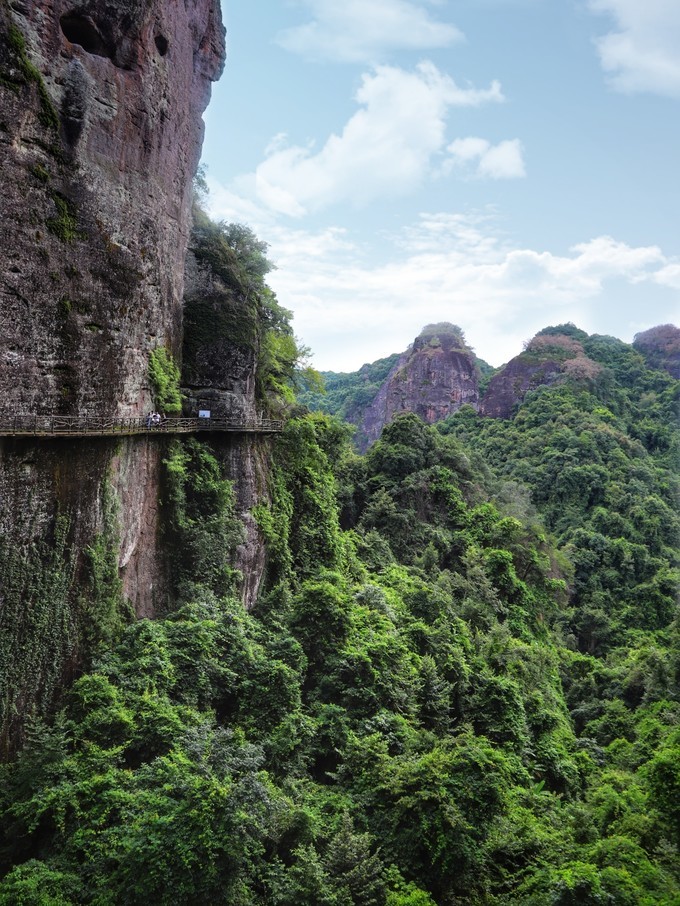 梅州采茶,梅州采茶体验
