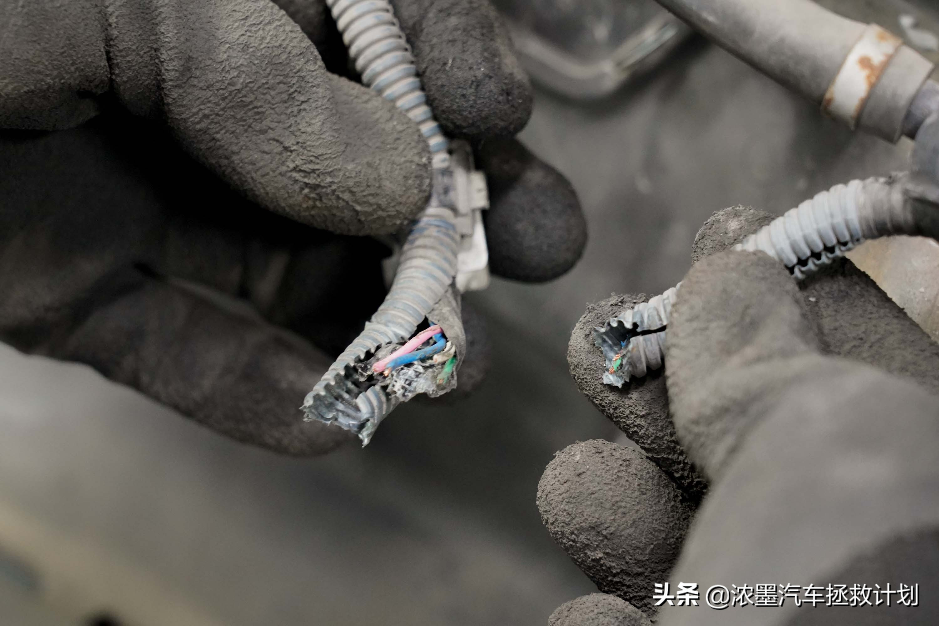 丰田普瑞维亚整备全过程,丰田普瑞维亚2024款豪华版试驾