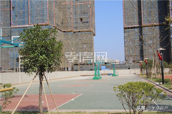 实探城际小学！东城区已招生投用学校