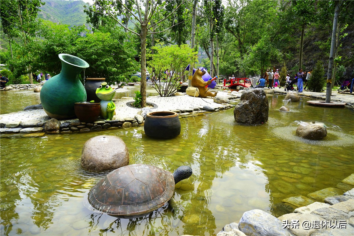 森林中的童话树屋,原始森林里的童话世界