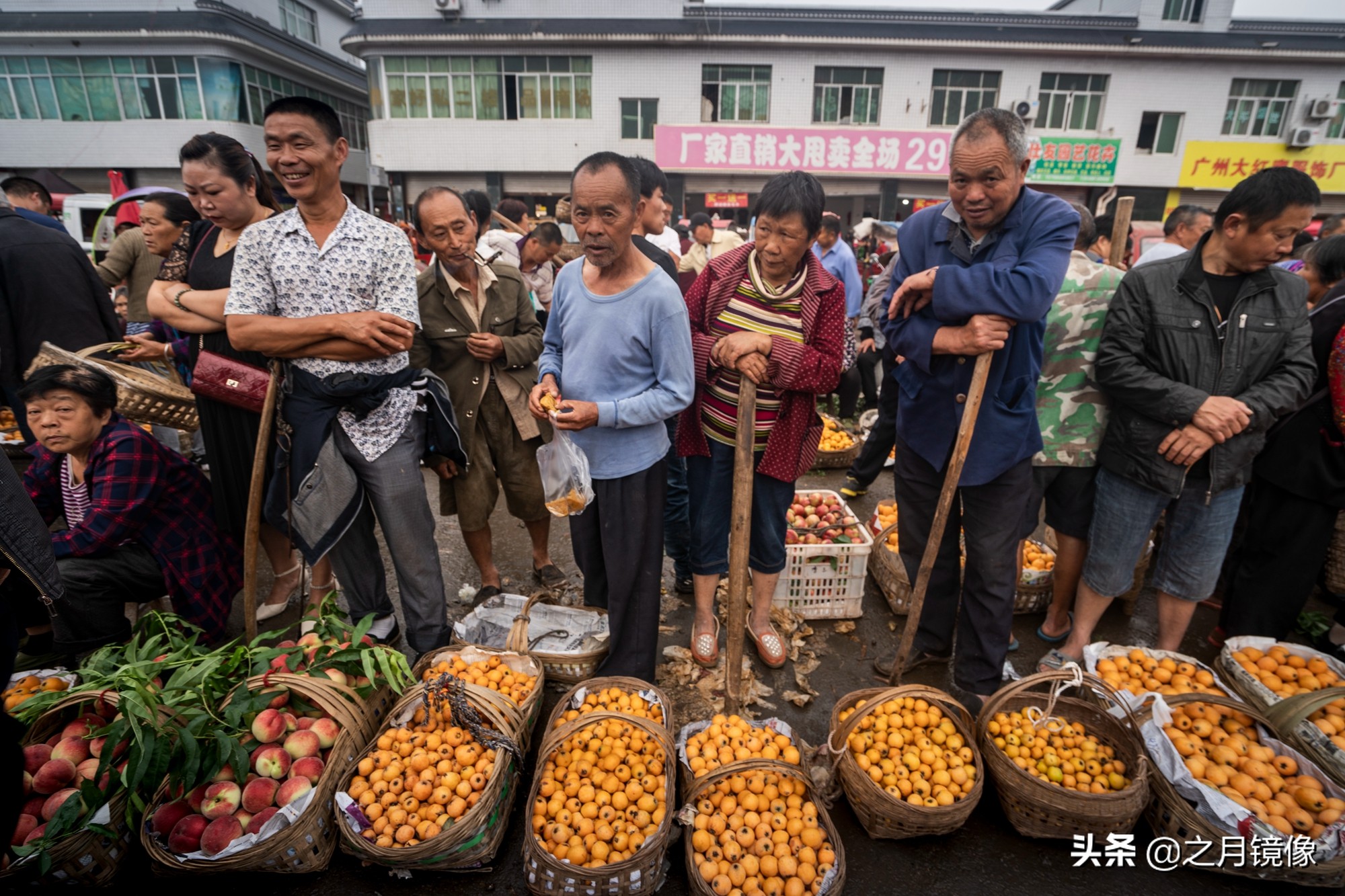 天府新区太平枇杷,成都太平枇杷批发市场