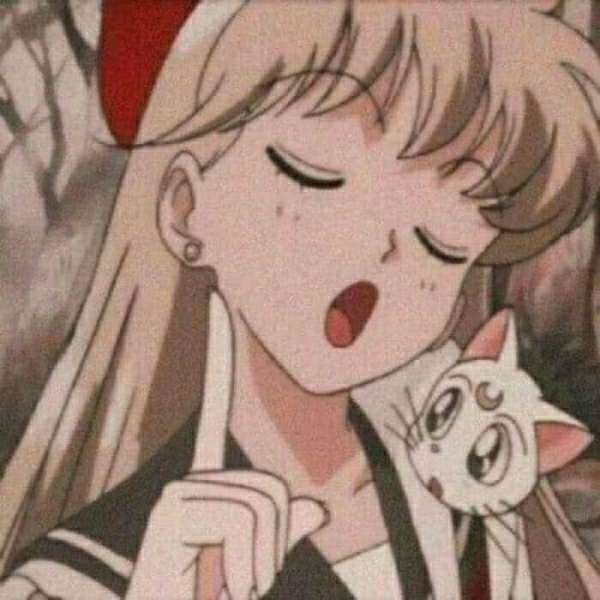 金星月亮上升分别代表什么,月亮星座上升星座查询表对照表