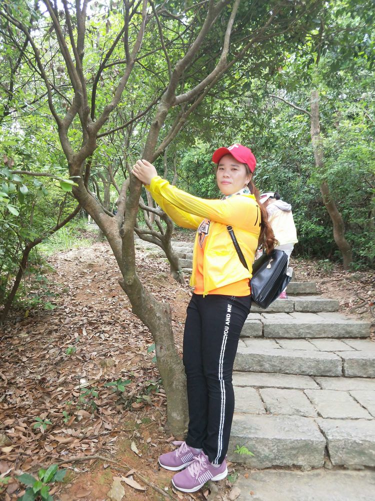 520,别样塘朗山!六约微马2019我们一起走第十二站塘朗山