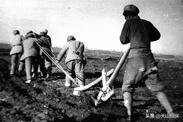 伟大的新疆,伟大的阿勒泰