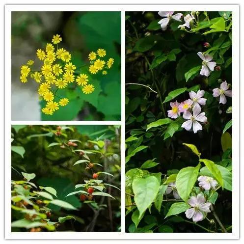 宁海安岚度假酒店,宁海安岚最美的酒店