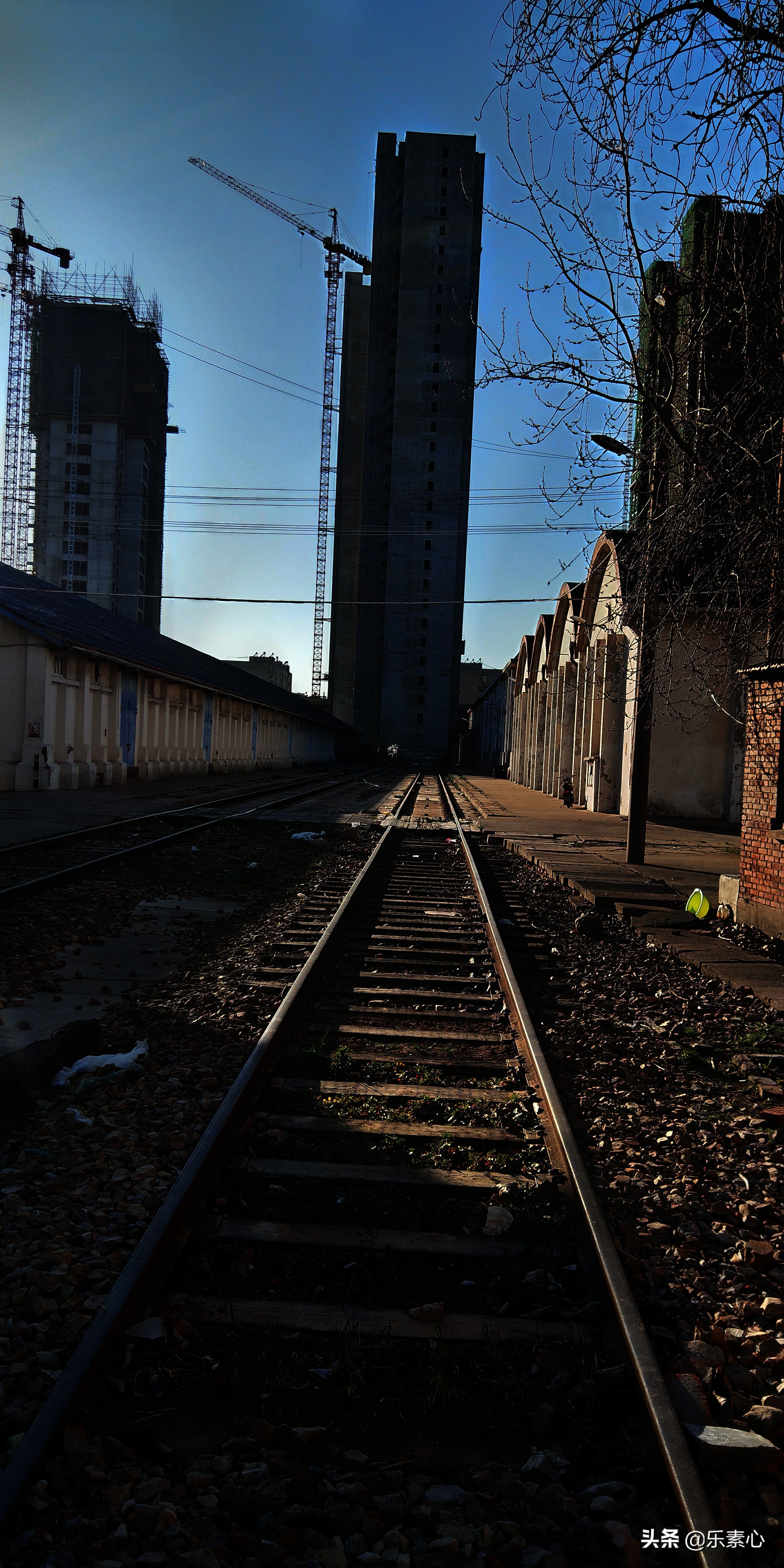 孔丽丽被谁打败,孔丽丽贵州