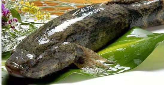 江门火锅推荐,江门哪里的火锅最好