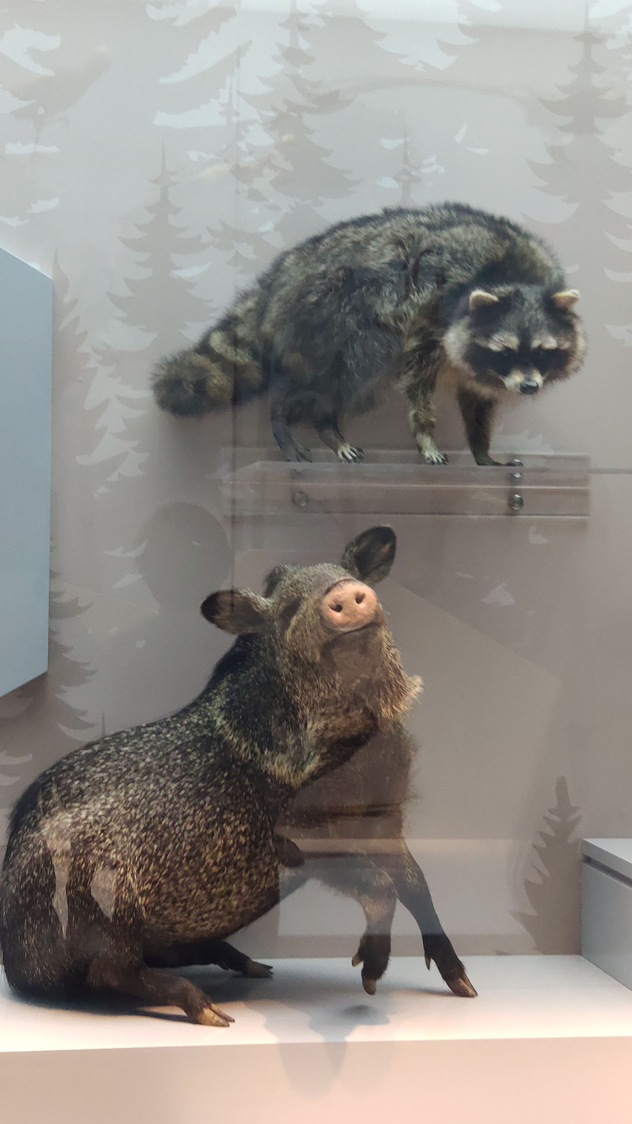 海洋博物馆带孩子游玩攻略,国家海洋博物馆最全攻略来了