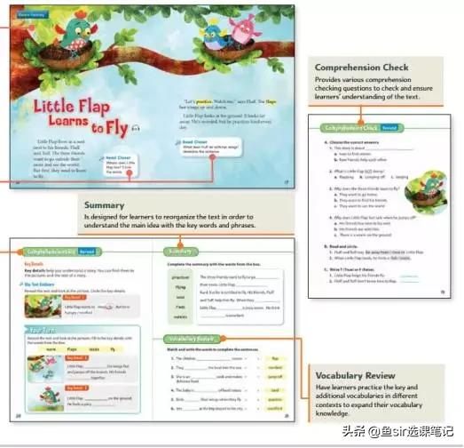 贝达测评,贝达少儿英语对比