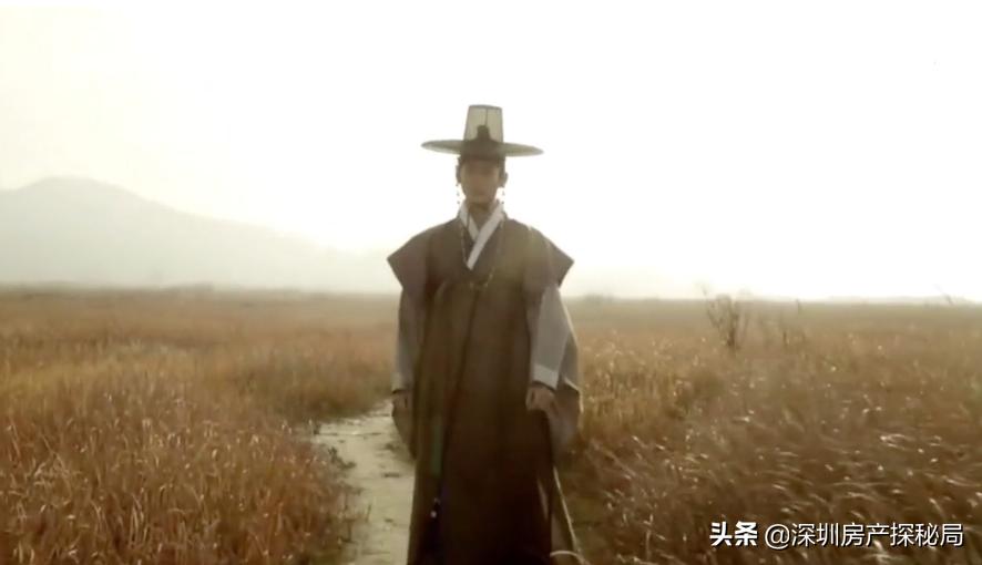 深圳湾的前世今生,深圳湾前身是什么村