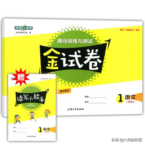 语文刷题必备教辅,超好用的语文教辅亲测推荐