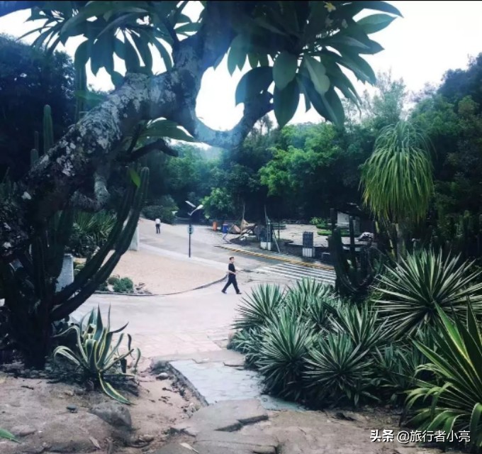 福建厦门十大旅游景点,福建厦门旅游十大必去景区