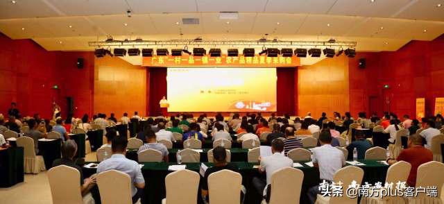 90后海归：携青年农民“抢滩”大上海，扬帆一带一路