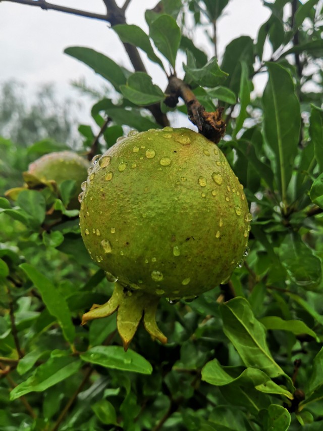 淮安足球场夜场,足球场夜场图片