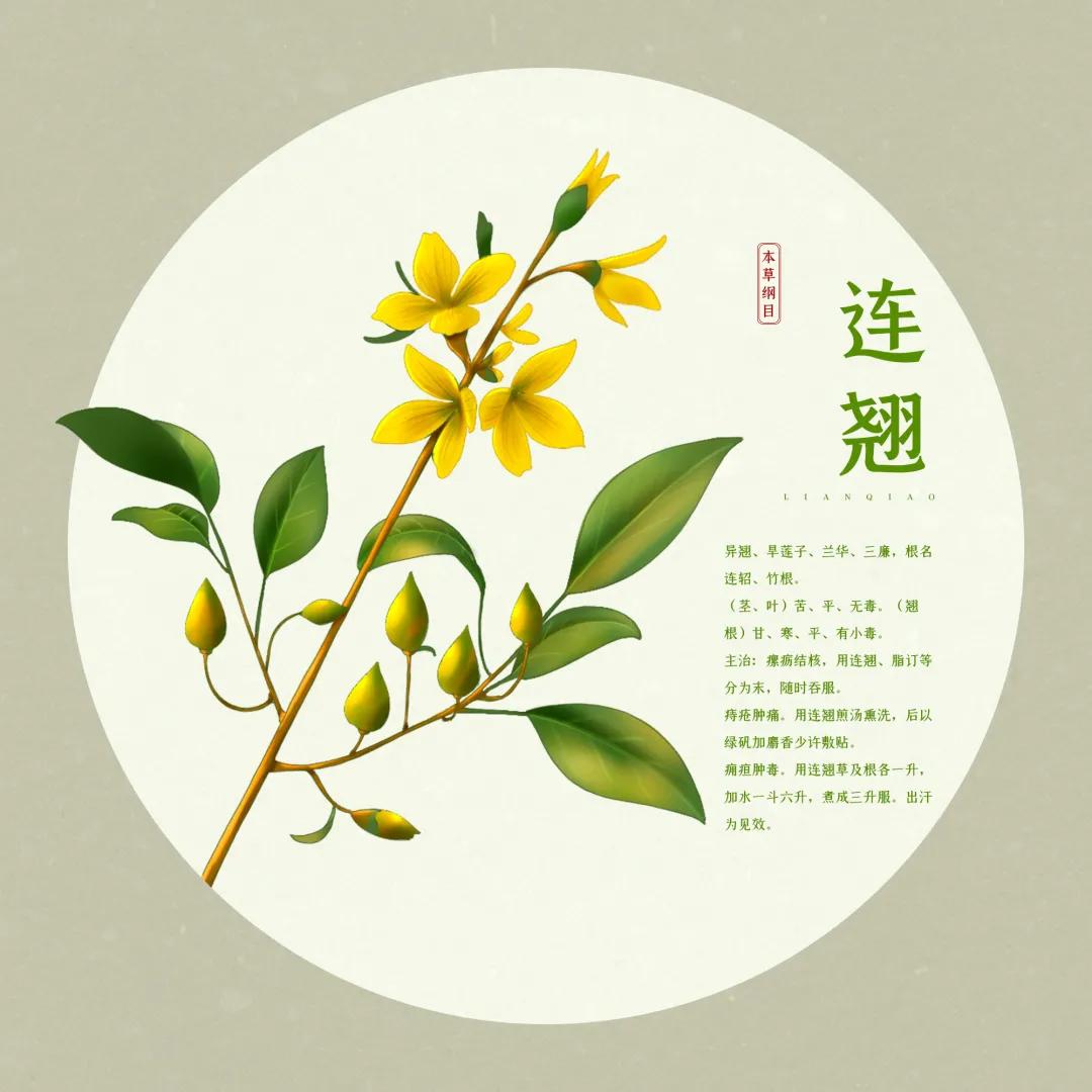 靶向药皮疹治疗多久会消失,服用靶向药起皮疹怎么办