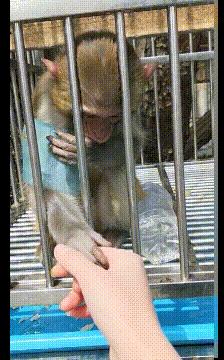 搞笑gif嫂子包饺子,搞笑gif姑娘你这次真的是玩过头了