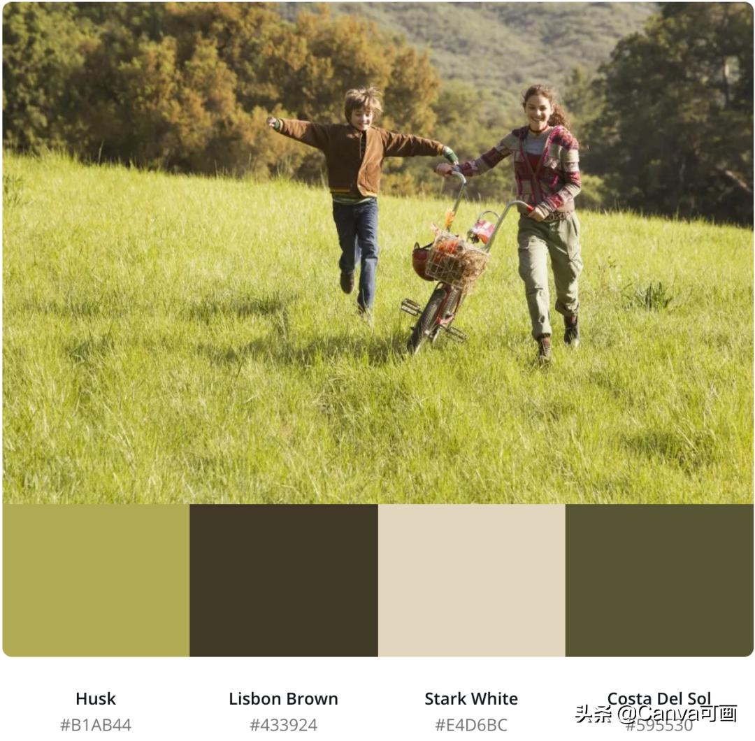 秋天配色插画秋高气爽,秋季高清插画