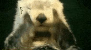 脾胃弱的人增肥的最好最快方法,脾胃弱的人如何长胖