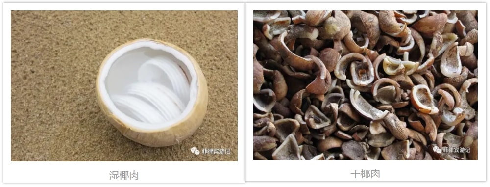 菲律宾十大特产水果,菲律宾十大特产美食