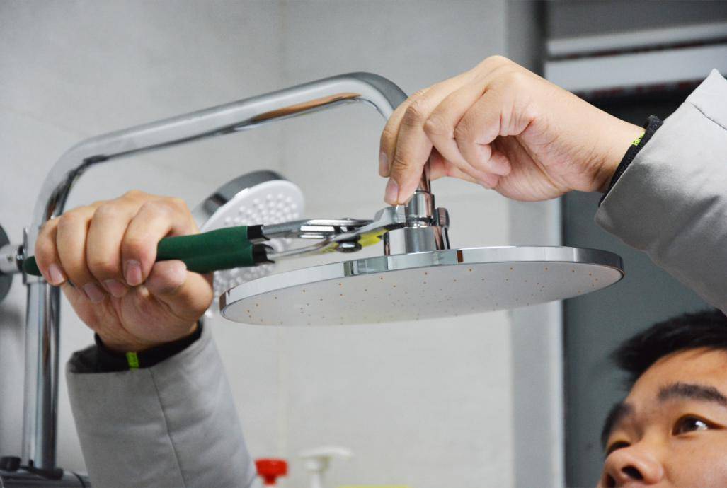 小米花洒雾状,小米瀑布花洒