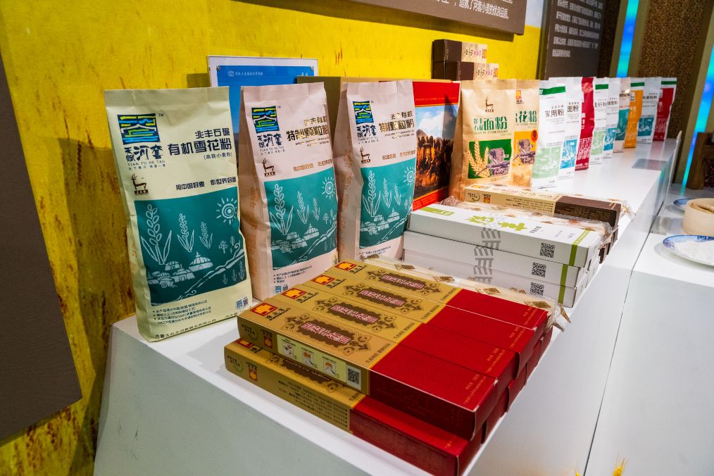 她是滔滔千里黄河的宠儿,阴山之下、河套之上的掌上明珠