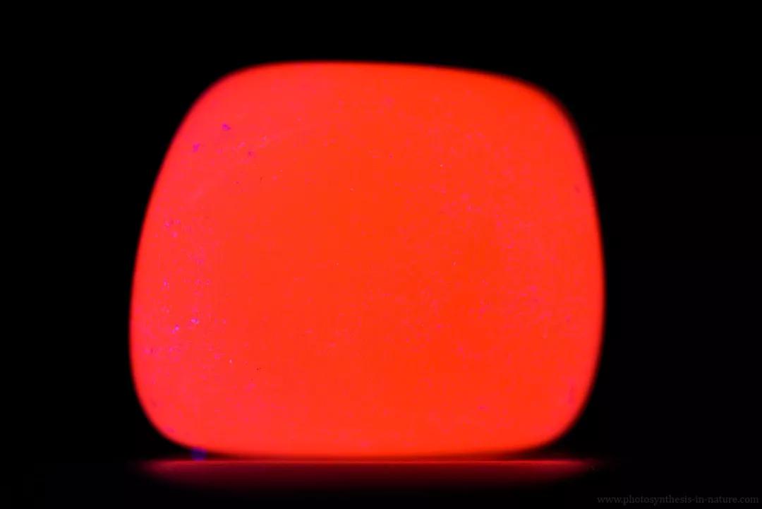 紫外线外星人真的存在吗,外星生命紫外线