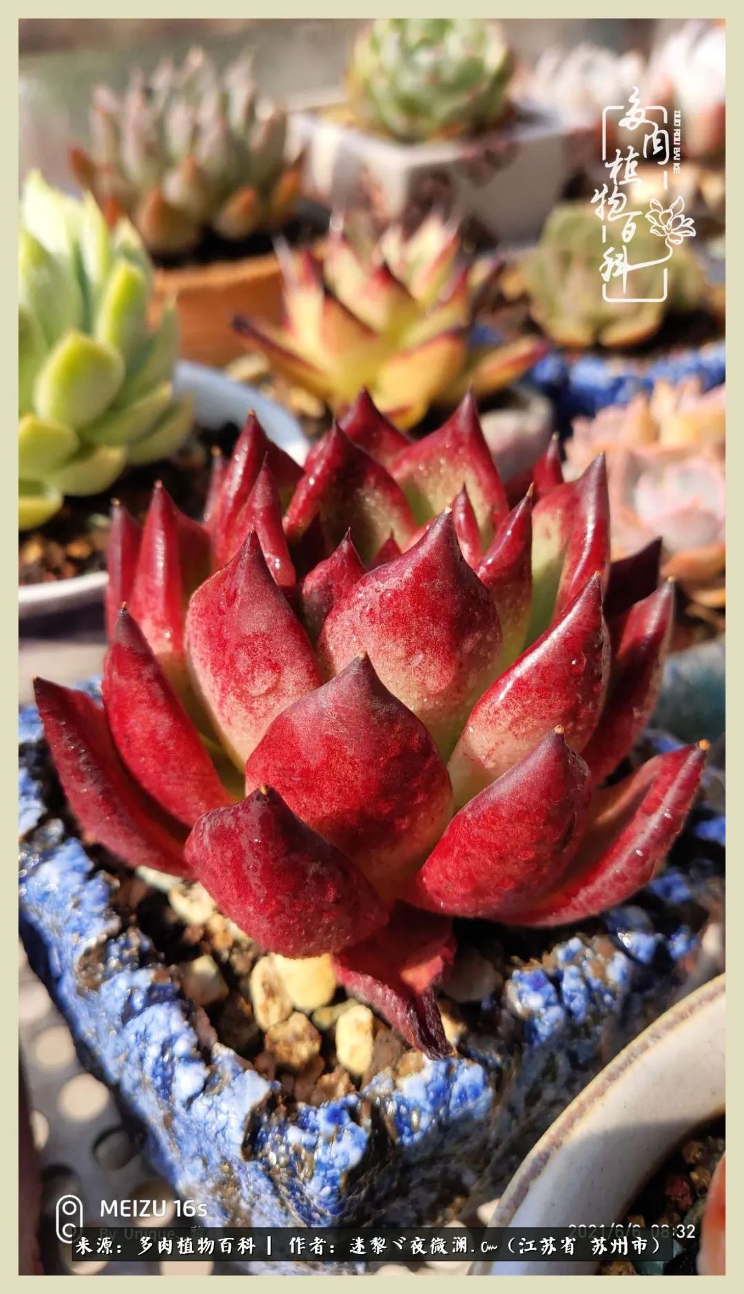 秋尽冬来岁月不居时节如流,岁月不居时节如流水